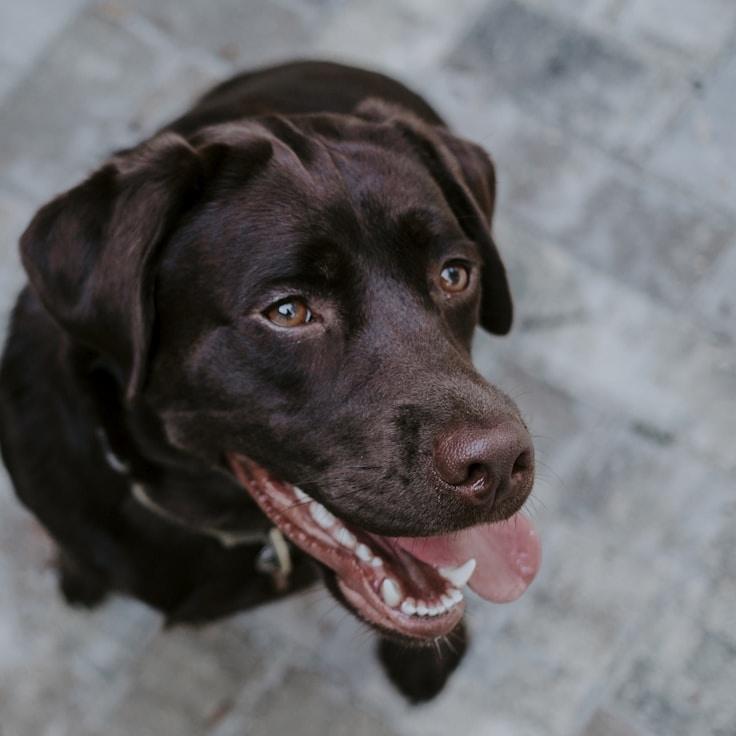Portrait of Alex, community mentor and Italian cuisine specialist